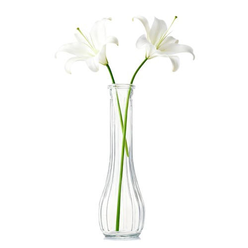 7cm inch tall clear - tall,